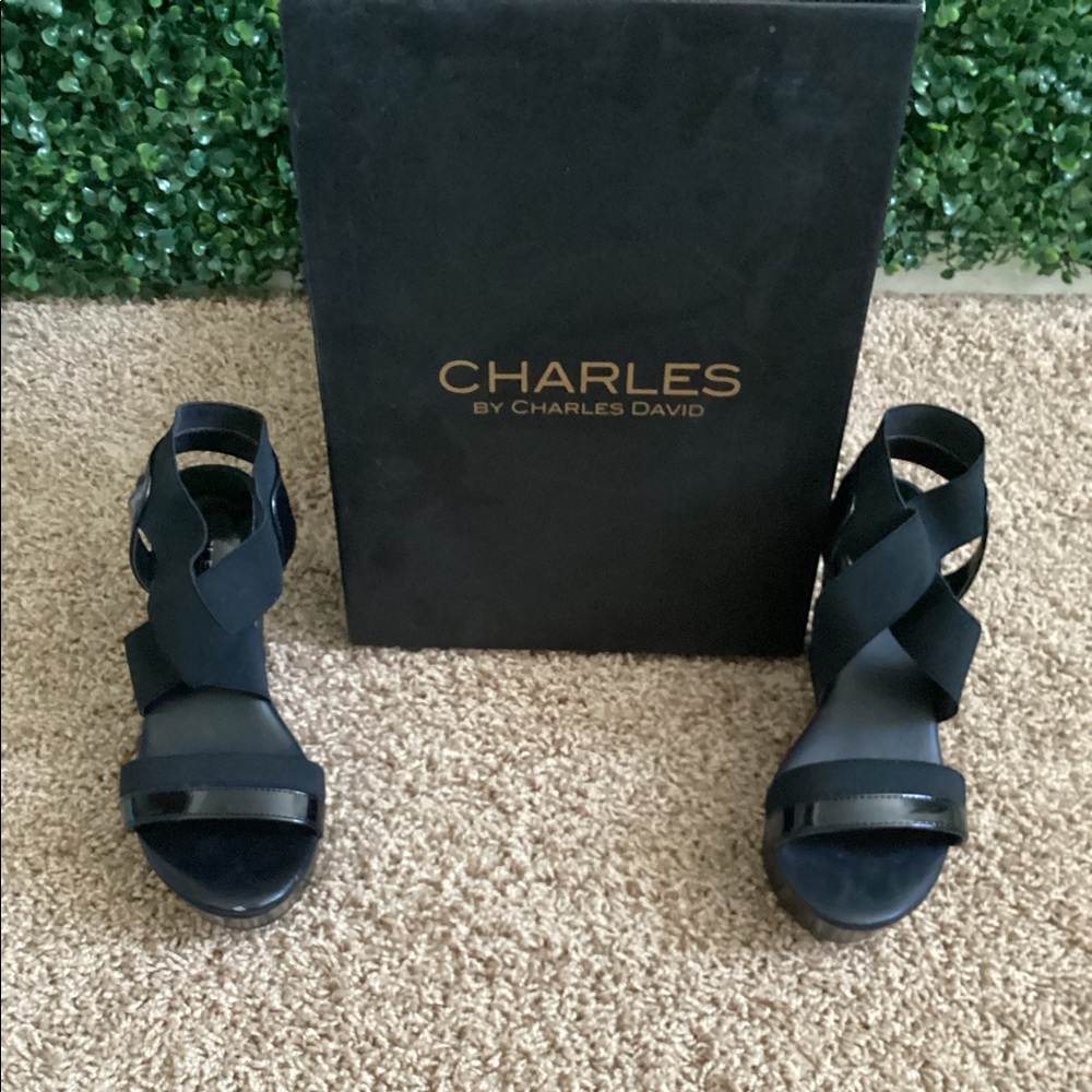 Charles by Charles David black platform sandal.